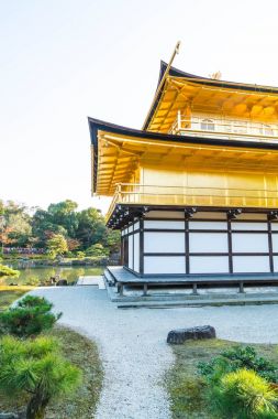 Kinkakuji Tapınağı (altın köşk güzel mimari)