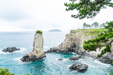 Jeju-do Oedolgae kaya (ünlü doğal landmark) Jeju Adası,