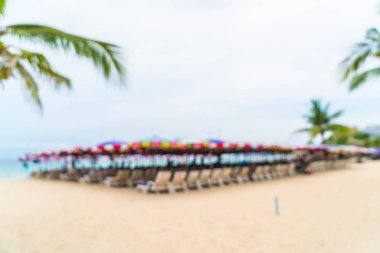 güzel hurma şemsiye ve deniz sandalyeye ile bulanıklık ve 