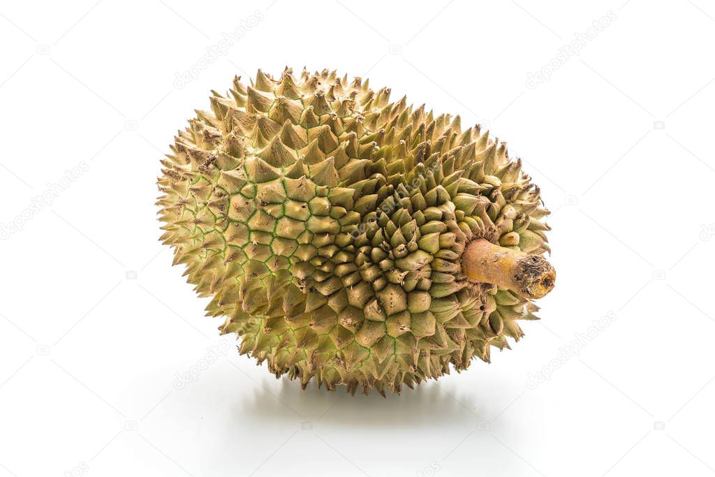 fresh durian on white background