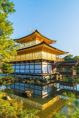Kinkakuji Tapınağı (altın köşk güzel mimari)