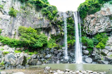 Jeongbang şelale jeju Adası
