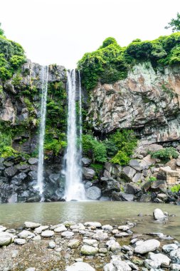 Jeongbang şelale jeju Adası