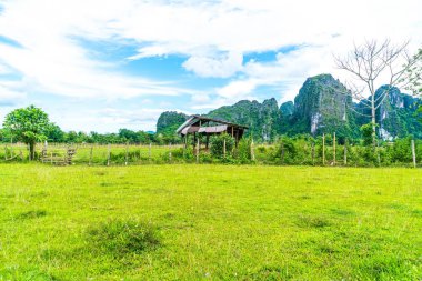  Vang Vieng alanlarda eski ev