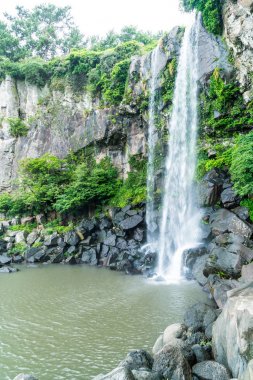 Jeongbang şelale jeju Adası