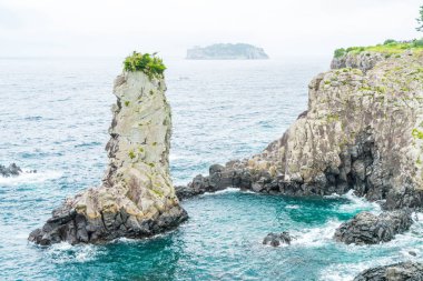 Jeju-do Oedolgae kaya (ünlü doğal landmark) Jeju Adası,