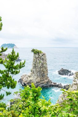 Jeju-do Oedolgae kaya (ünlü doğal landmark) Jeju Adası,