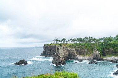 Jeju-do Oedolgae kaya (ünlü doğal landmark) Jeju Adası,