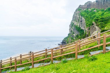 Jeju Adası'Seongsan Ilchulbong (volkanik koni) görünümünü.