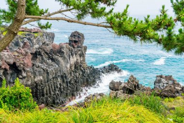 Jungmun Daepo sahil Jusangjeolli Cliff, Jeju Adası