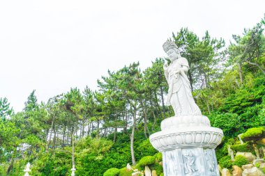 Güzel mimari Haedong Yonggungsa Tapınağı'nda oturur üzerine bir 