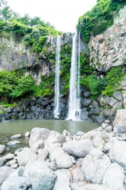 Jeongbang şelale jeju Adası