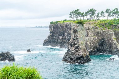 Jeju-do Oedolgae kaya (ünlü doğal landmark) Jeju Adası,