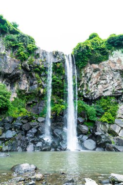 Jeongbang şelale jeju Adası