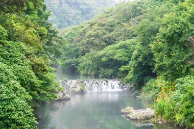 Bahçe Park adlı Cheonjiyeon şelaleler Jeju Adası