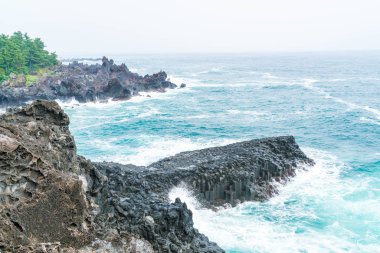 Jungmun Daepo sahil Jusangjeolli Cliff, Jeju Adası