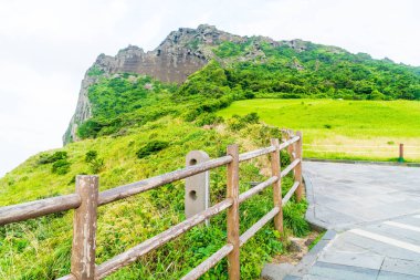 Jeju Adası'Seongsan Ilchulbong (volkanik koni) görünümünü.