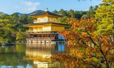Kinkakuji Tapınağı (altın köşk güzel mimari)