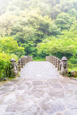 Dol hareuban Köprüsü Cheonjiyeon Falls