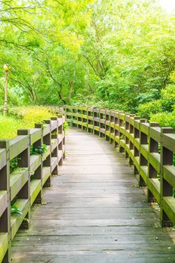 Cheonjeyeon Falls, Jeju Adası bahçesinde ağaç yürüme yolu