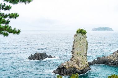Jeju-do Oedolgae kaya (ünlü doğal landmark) Jeju Adası,