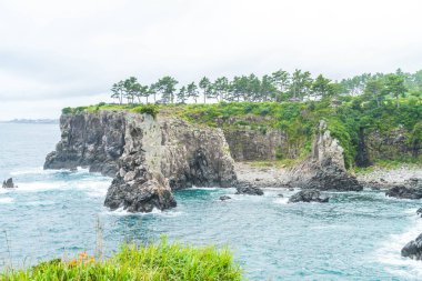 Jeju-do Oedolgae kaya (ünlü doğal landmark) Jeju Adası,