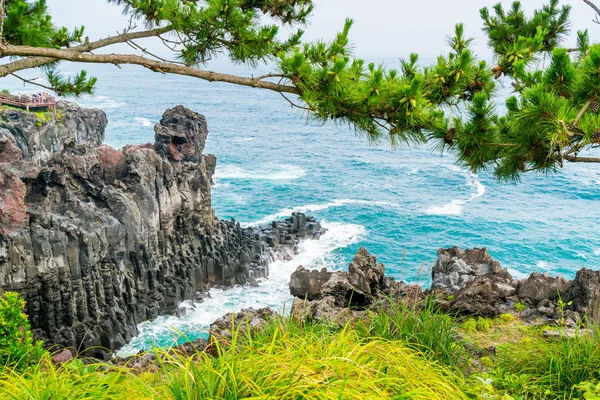 Acantilado Jusangjeolli de la costa de Jungmun Daepo, isla de Jeju — Foto de Stock