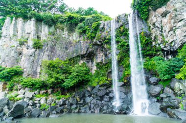 Jeongbang şelale jeju Adası