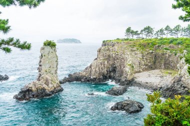 Jeju-do Oedolgae kaya (ünlü doğal landmark) Jeju Adası,