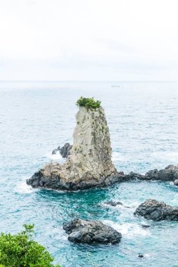 Jeju-do Oedolgae kaya (ünlü doğal landmark) Jeju Adası,