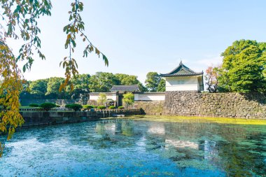 Tokyo'da bina güzel İmparatorluk Sarayı