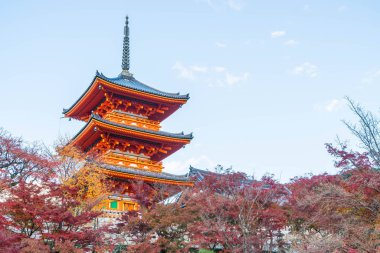 Kiyomizu-dera Tapınağı güzel mimari Kyoto,.