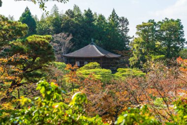 Gümüş Pavilion Ginkakuji Tapınağı'nda güzel mimari
