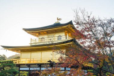 Kinkakuji Tapınağı (altın köşk güzel mimari)