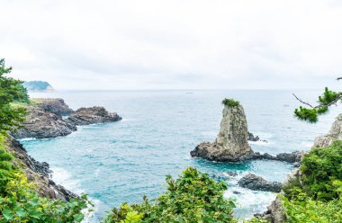 Jeju-do Oedolgae kaya (ünlü doğal landmark) Jeju Adası,