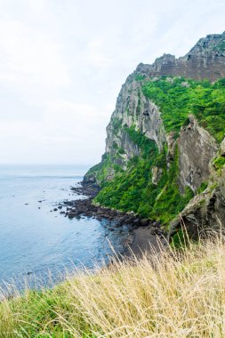 Jeju Adası'Seongsan Ilchulbong (volkanik koni) görünümünü.