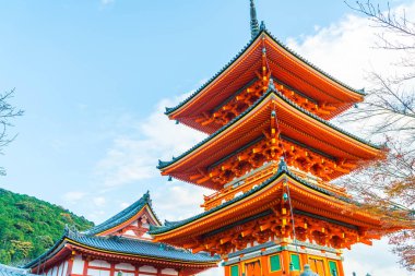 Kiyomizu-dera Tapınağı güzel mimari Kyoto,.