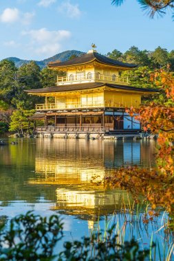 Kinkakuji Tapınağı (altın köşk güzel mimari)