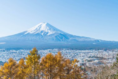 Kawaguchiko, dağ Fuji San