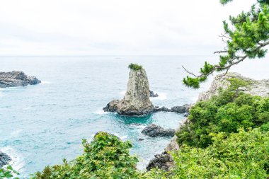 Jeju-do Oedolgae kaya (ünlü doğal landmark) Jeju Adası,