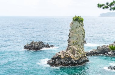 Jeju-do Oedolgae kaya (ünlü doğal landmark) Jeju Adası,