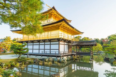 Kinkakuji Tapınağı (altın köşk güzel mimari)