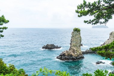 Jeju-do Oedolgae kaya (ünlü doğal landmark) Jeju Adası,