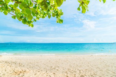 güzel tropikal plaj ve deniz manzara