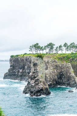 Jeju-do Oedolgae kaya (ünlü doğal landmark) Jeju Adası,