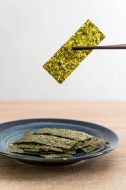 plaka üzerinde kurutulmuş yosun