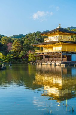 Kinkakuji Tapınağı (altın köşk güzel mimari)