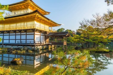Kinkakuji Tapınağı (altın köşk güzel mimari)
