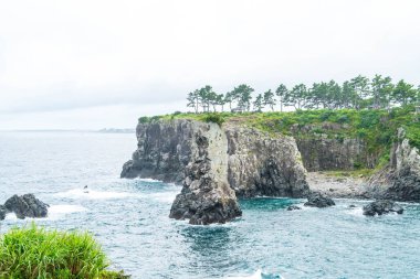 Jeju-do Oedolgae kaya (ünlü doğal landmark) Jeju Adası,