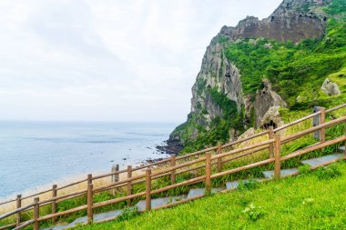 Jeju Adası'Seongsan Ilchulbong (volkanik koni) görünümünü.